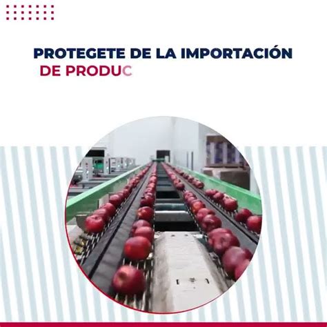 Querés exportar tus productos al mundo Nosis Explorer y Nosis Leads