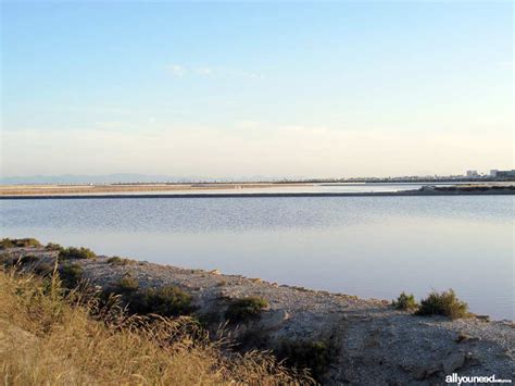 Salinas Y Arenales De San Pedro Del Pinatar Parque Regional En Murcia