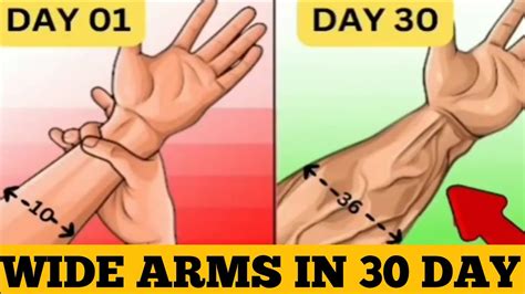 5 Best Forearm Exercises For Massive Gains In 30 Days Youtube