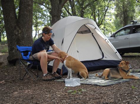 Take Your Dog Camping: The Basics of Camping with Dogs - Natchez Trace ...