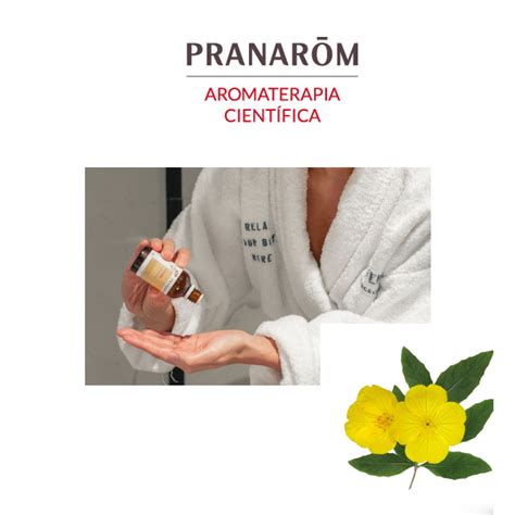 Comprar PRANAROM Aceite Vegetal De Onagra BIO 50ml A Precio Online