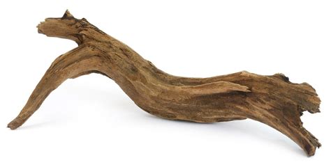 Aquarium Driftwood - Different Types & Info » Petsoid