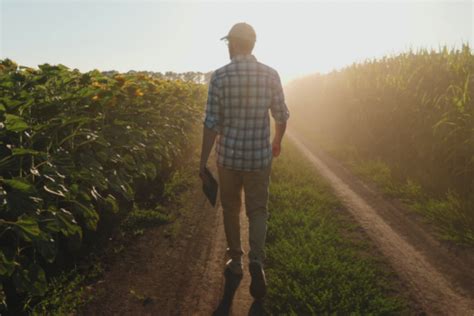 Registro Dei Trattamenti La Storia Difesa E Diserbo Agronotizie