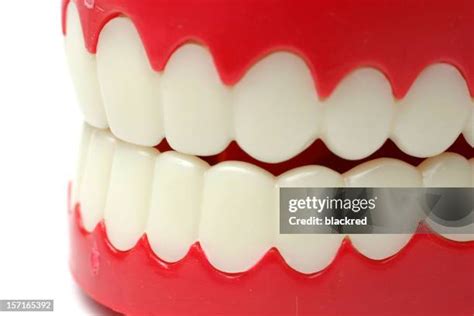 fake false teeth stock  high res pictures  images