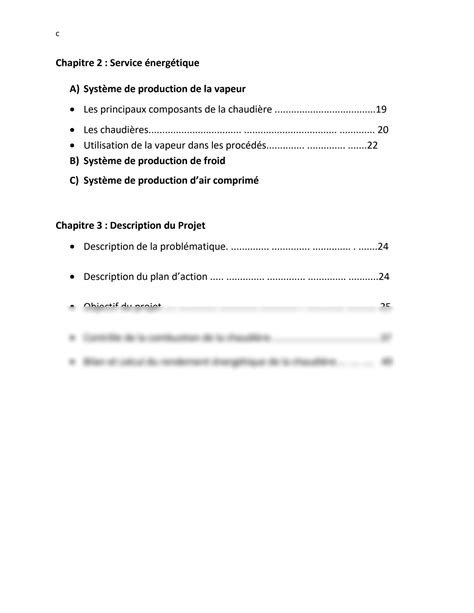 SOLUTION Rapport De Stage Bilan Thermique De La Chaudi Re Studypool