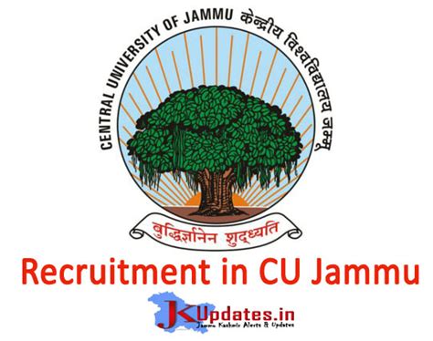 Recruitment In Central University Of Jammu Jkupdates Govt Private