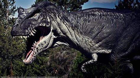 Nombres De Dinosaurios Carnívoros Los 5 Más Temibles