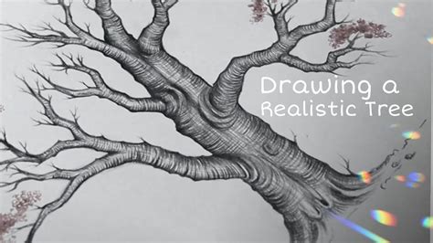 How To Draw A Tree Step By Step Tree Drawing With Colour Youtube