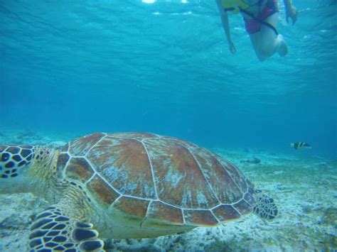 Lombok Private Island Tour By Boat With Snorkeling Getyourguide