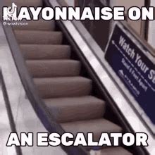 Escalator GIFs | Tenor