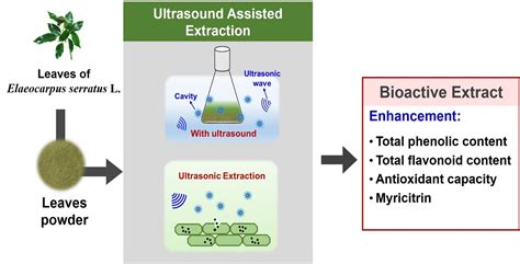 Processes Free Full Text Ultrasound Assisted Extraction Of