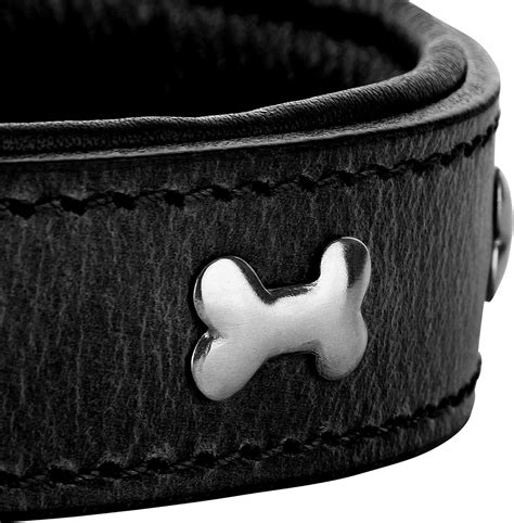 Lederhalsband Hund Hundehalsband Aus Leder Classic Line Lisa