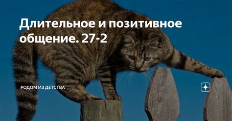 Длительное и позитивное общение. 27-2 | Родом из детства | Дзен
