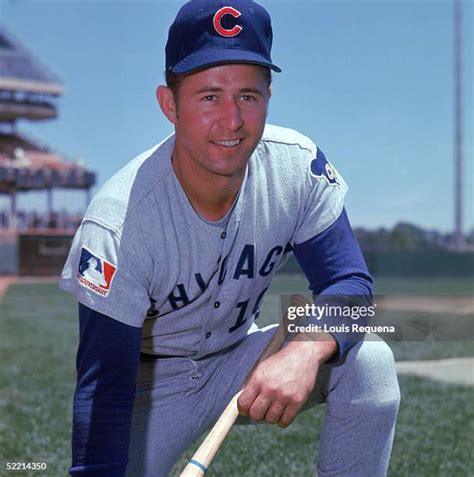 495 Ron Santo Photos And High Res Pictures Getty Images