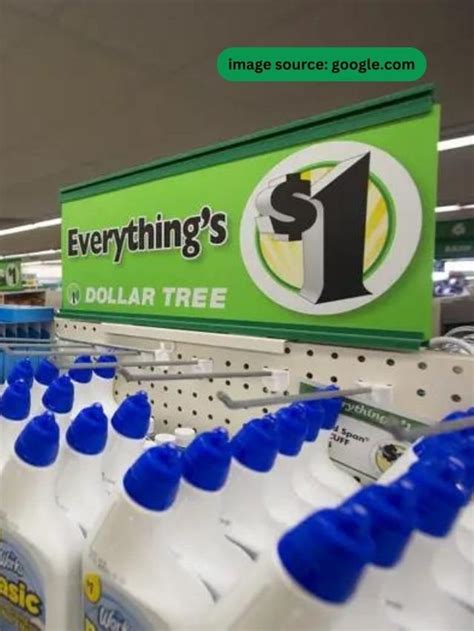 8 Things To Buy At The Dollar Tree Store To Save You Money StatAnalytica