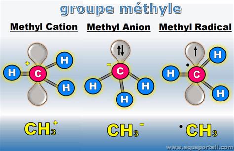 Méthylène : définition et explications