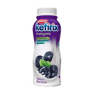 Altınkılıç Kefirix Kara Üzüm Kayısı 250 Ml Yerli Tüket