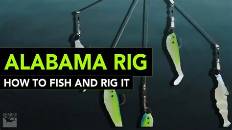 Alabama Rig _ How To Fish And Rig It - sharksinfo.com