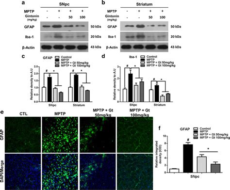 Gintonin Abrogated Microgliosis And Astrocytosis By Regulating The