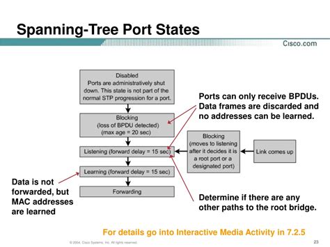 Ppt Ccna V Module Spanning Tree Protocol Powerpoint