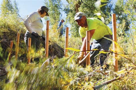 Volunteering With The Greater Arkansas River Nature Association