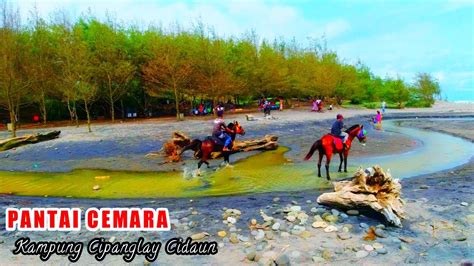 Pemandangan Indah Suasana Alam Indonesia Pantai Cemara Cipanglay Desa