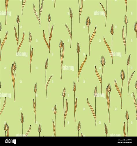 Vector Seamless Pattern With Of Cartoon Doodle Wheat Spikes Stock