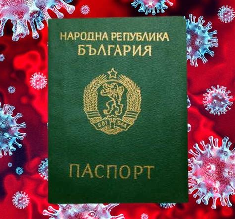 Зелен паспорт | | 19min.media
