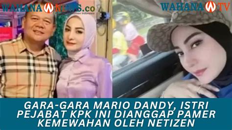 Istri Viral Direktur Penyelidikan Kpk Dipanggil Dewas Dan Diperiksa