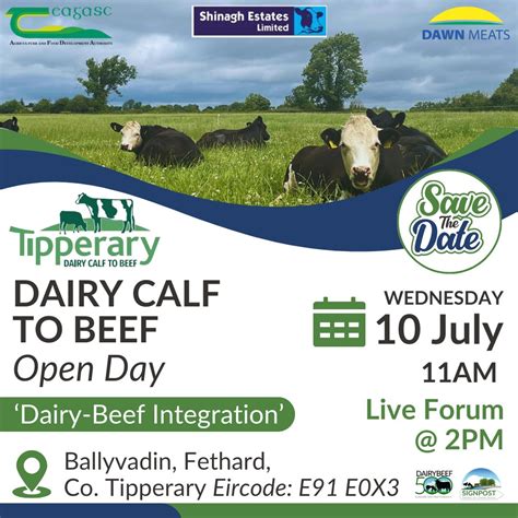 Tipperary Dairy Beef Demonstration Farm Open Day Icbf