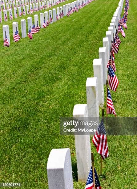 Veterans Cemetery Houston Tx Photos and Premium High Res Pictures ...