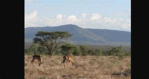 Tagestour Zum Mount Longonot National Park Von Nairobi Aus Getyourguide