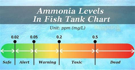 Best Guideline How To Reduce Ammonia In Fish Tank