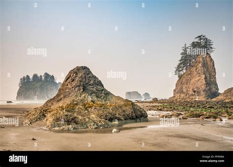 Quileute Needles Sea Stacks Rocks At Second Beach Part Of La Push Beach Pacific Coast