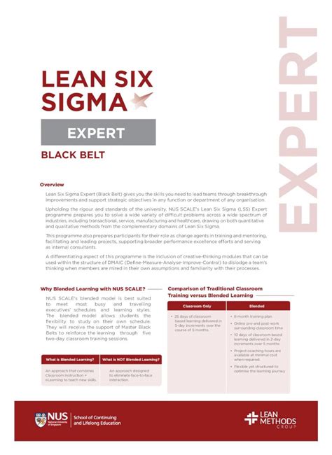 PDF LEAN SIX SIGMA National University Of Singaporescale Nus Edu Sg