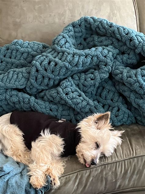 So I was told this is a rare toy Parti Yorkie can anybody confirm this ...