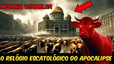 Novilha Vermelha Em Israel Sinal Do Terceiro Templo E Guerra Mundial