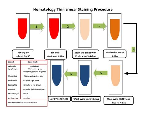 hema stain procedure