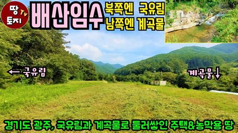 경기도 광주 국유림 계곡 인접 인근 전원주택 토지 매매 계곡물 농막 땅 급매물 국유림 전원주택 농막 토지 급매 배산임수 남향