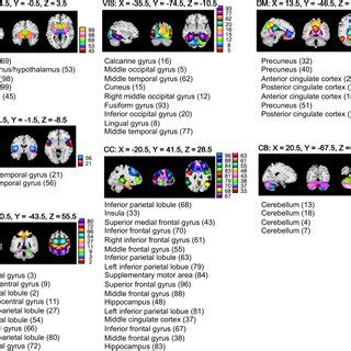 Resting State Networks RSNs Spatial Maps Of The RSNs N 53