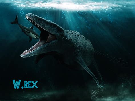 Mosasaurus Wallpapers Wallpaper Cave