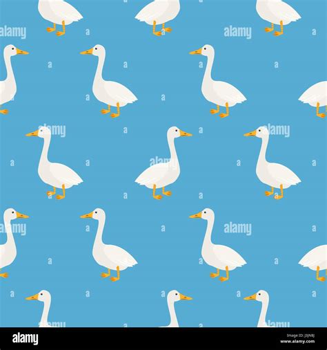 Herbivorous Geese Stock Vector Images Alamy