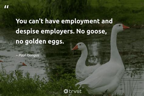 23 Goose Quotes About The Gaggling Waterfowls