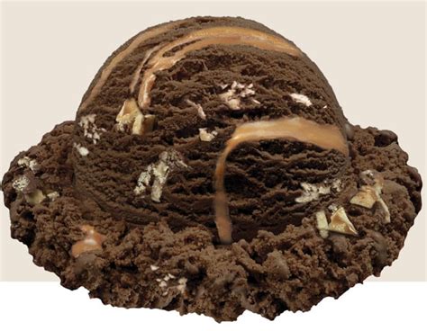 Stewarts Bark In The Dark Ice Cream Dark Chocolate Ice Cream