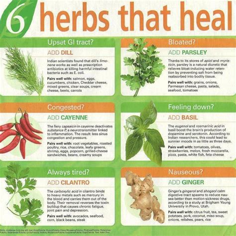 Herbs Can Revive Detox And Heal Dont Pollute Your Body Or Rush To A