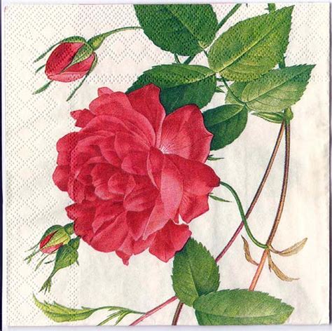 Decoupage Paper Napkin Chn00209 Chinese Roses Rosebuds 1 Decoupage