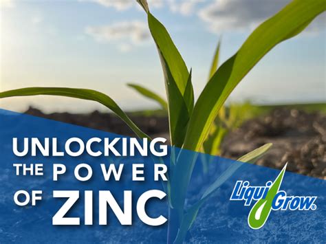 Unlocking The Power Of Zinc Liqui Grow Balanced Liquid Fertilizers