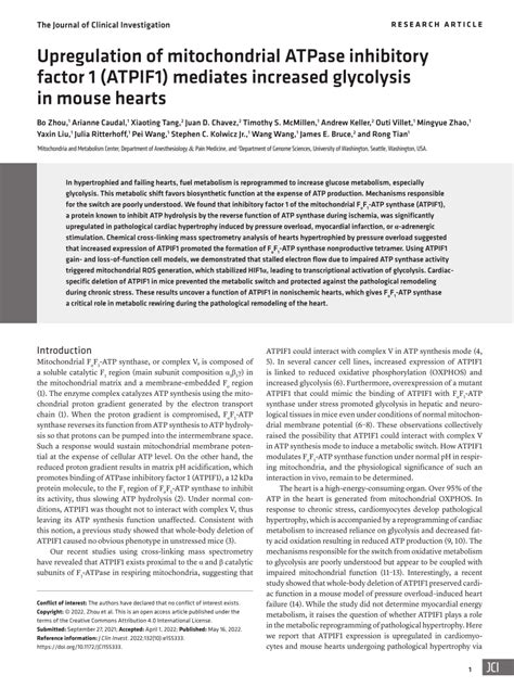 Pdf Upregulation Of Mitochondrial Atpase Inhibitory Factor 1 Atpif1