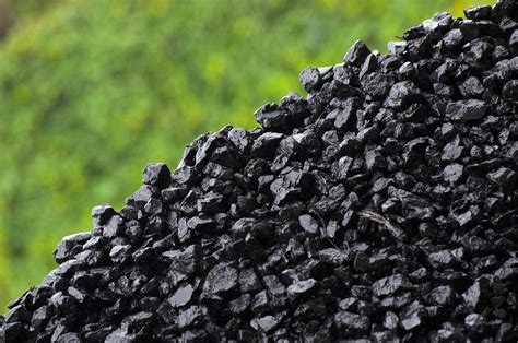 Guide To Coal And Smokeless Solid Fuel Countrylife Blog