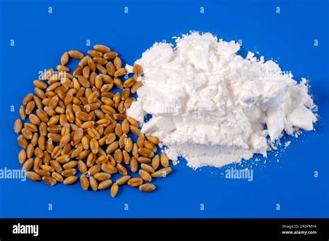 Wheat Starch Cornstarch Wheat Stock Photo Alamy